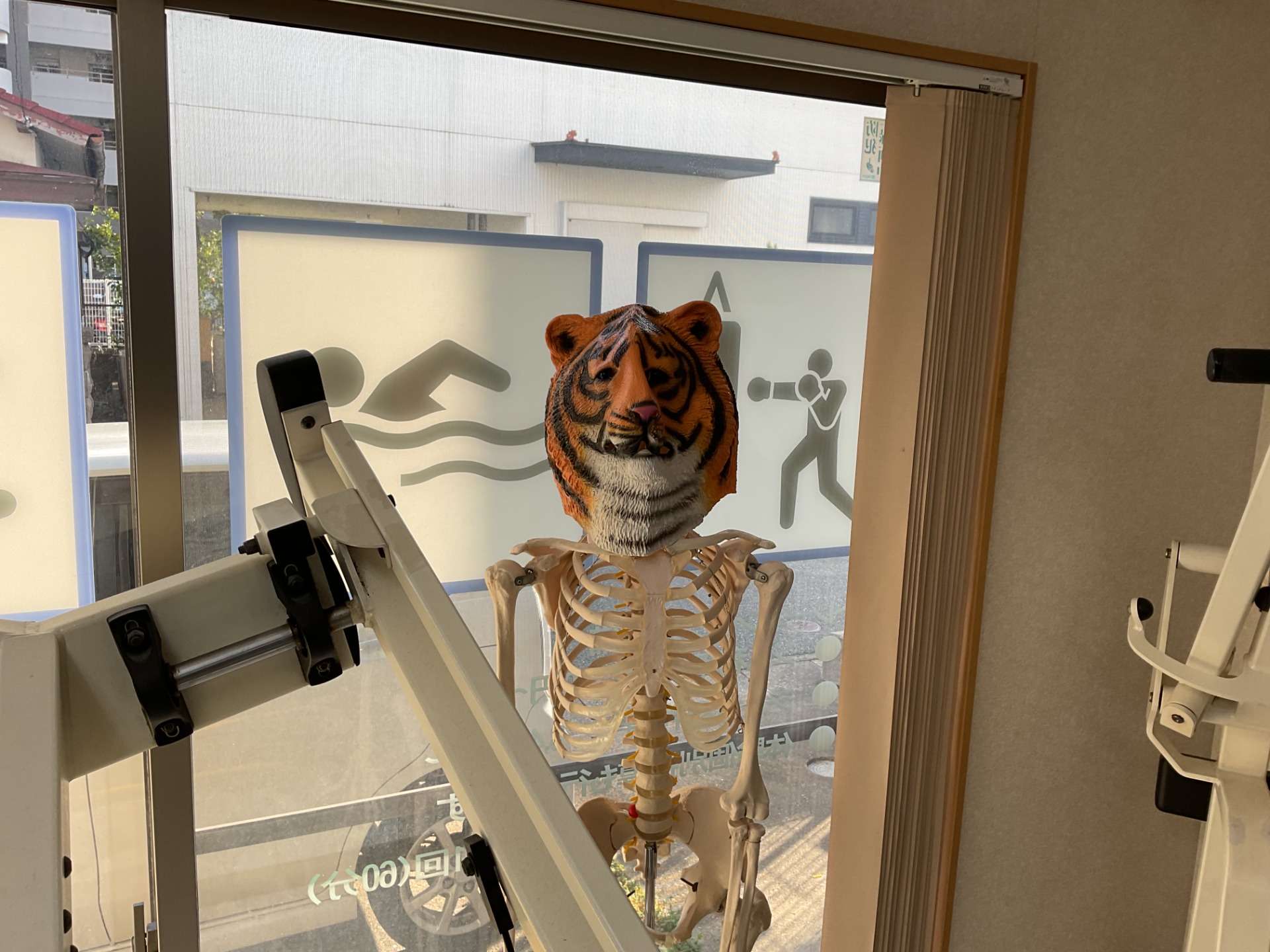 いよいよ春ですね。今日は非常にあったかいです。