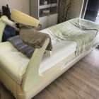 今日は昼頃ランニングしてたら、突然雷が鳴りひょうが降り出しました