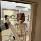 いよいよ春ですね。今日は非常にあったかいです。